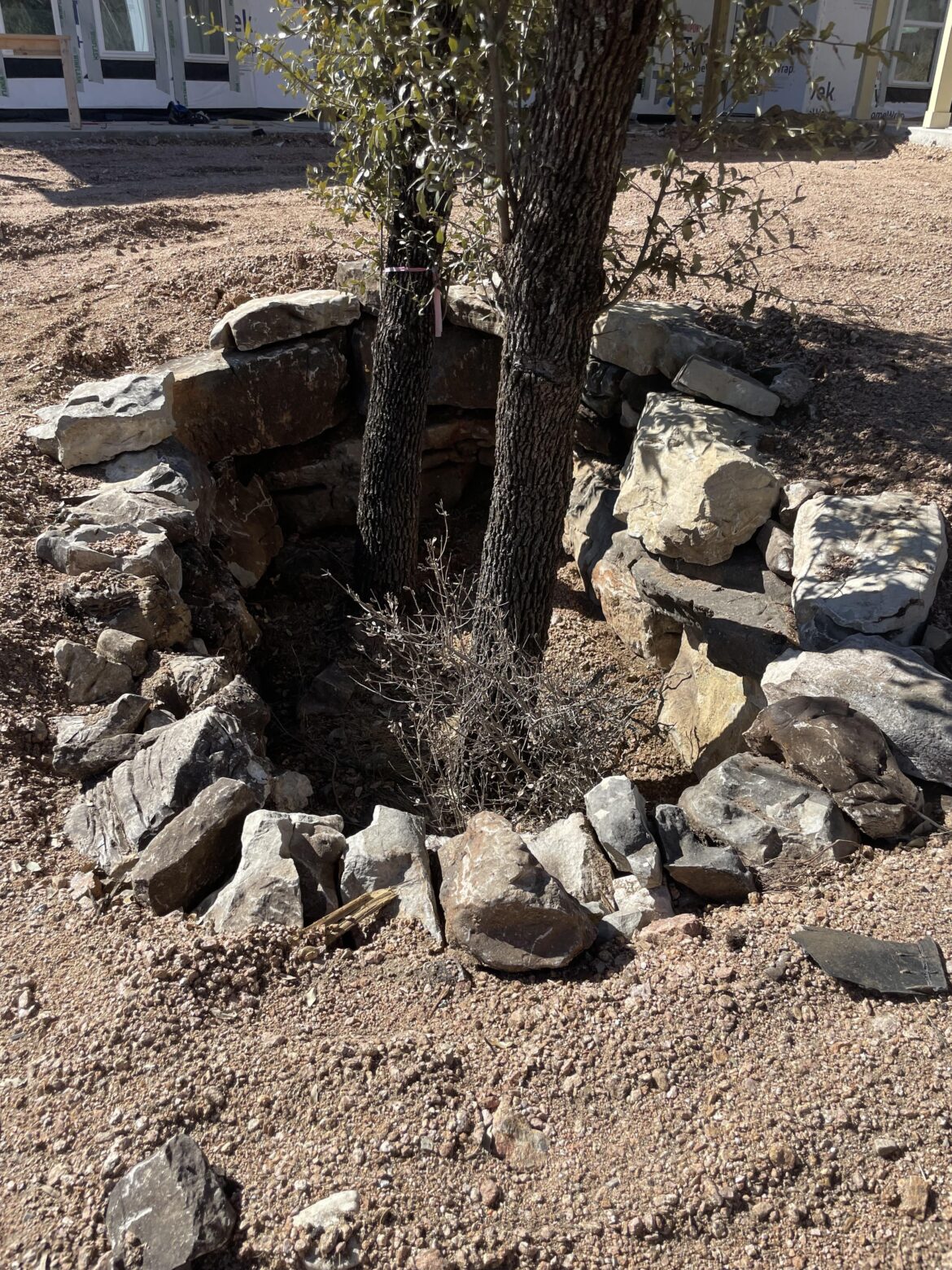 Help covering a tree well Help covering a tree well