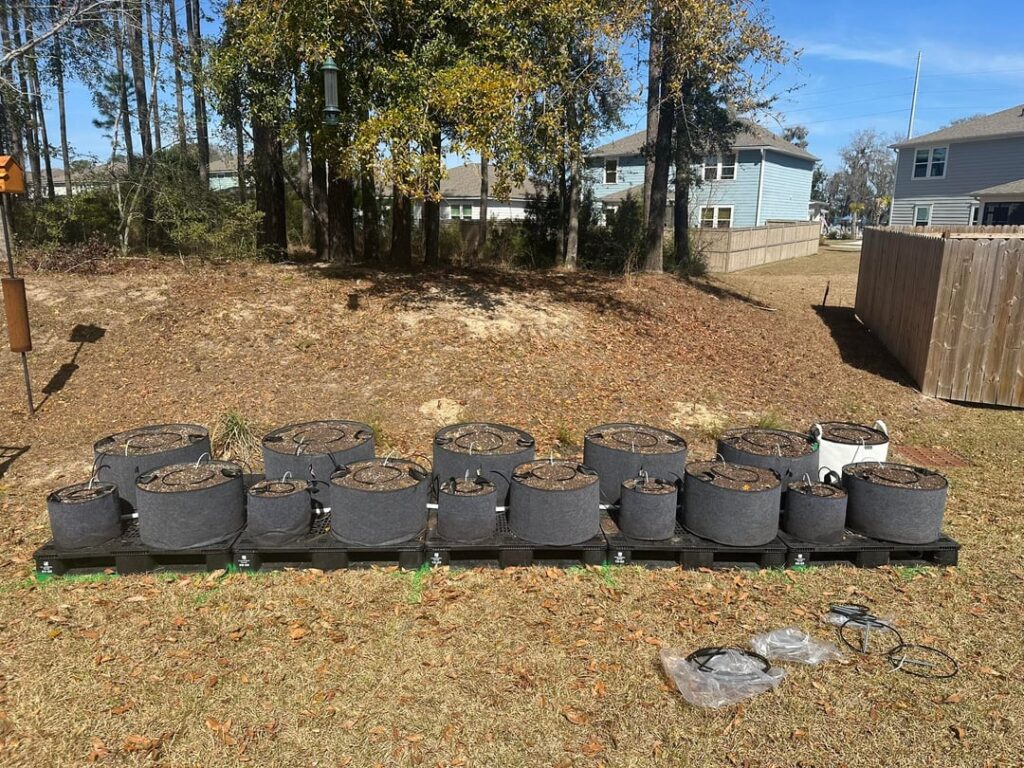 Grow Bag Garden Update – Irrigation Installed, Ready for Tomatoes to Take Over Grow Bag Garden Update – Irrigation Installed, Ready for Tomatoes to Take Over