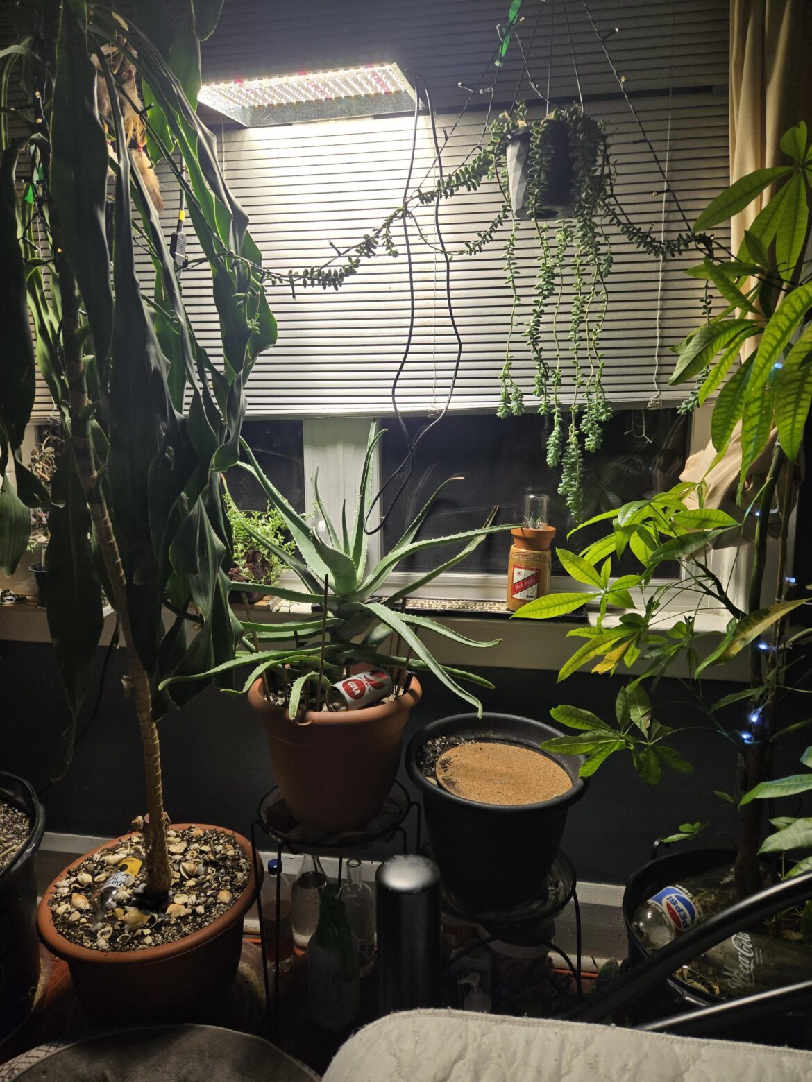 Just put up my old mars grow lighy