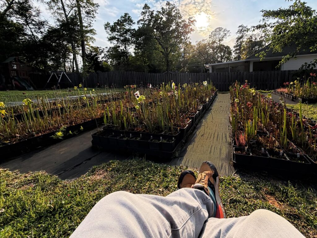 Who else stares at their plants during both the day and night?
