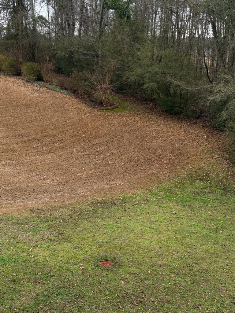 The difference between our neighbour’s yard and ours