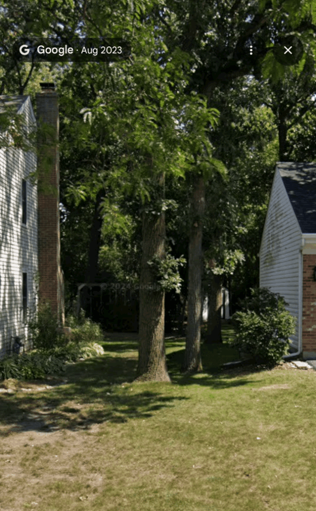 Neighbor wants tree cut down because landscapers…. Neighbor wants tree cut down because landscapers....