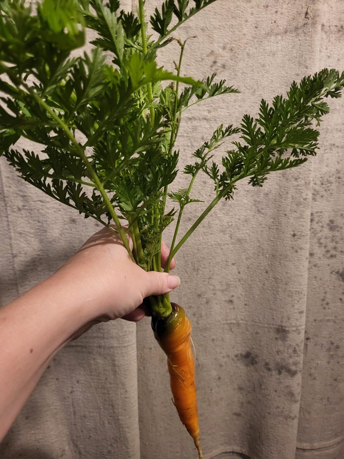 I grew this!