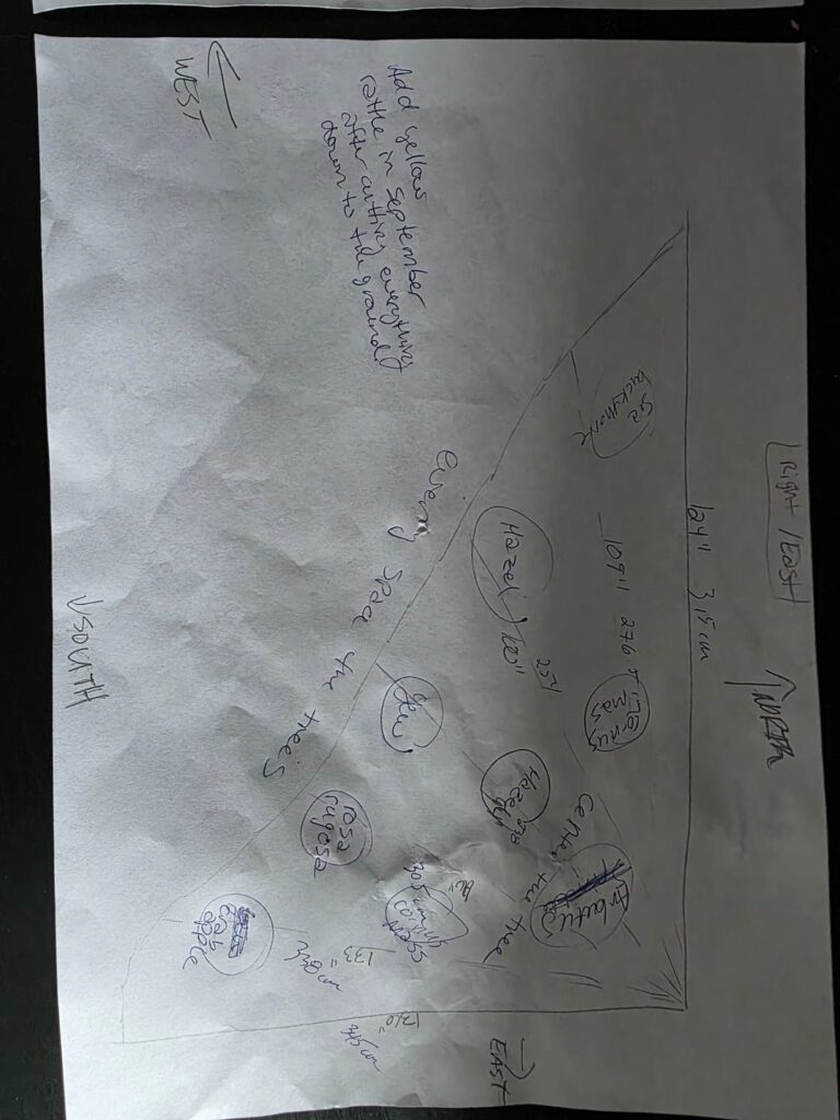 Small trees for a small garden Small trees for a small garden