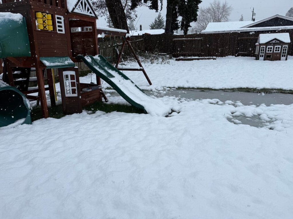 Water Pool in Backyard what could I do? Water Pool in Backyard what could I do?