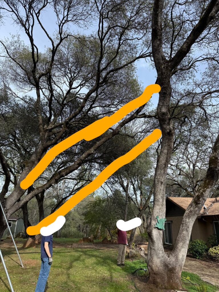 Husband thinks he’s got this…