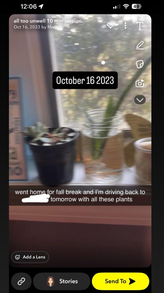 snake plant solely grown in water.