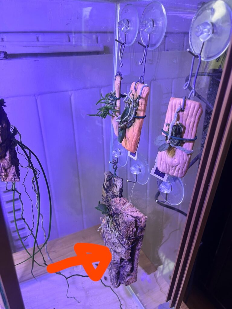 Can someone share me some advice? Can someone share me some advice?