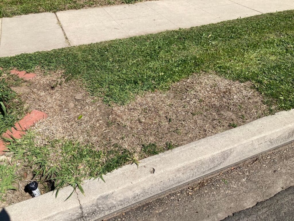 What happened here? What happened here?