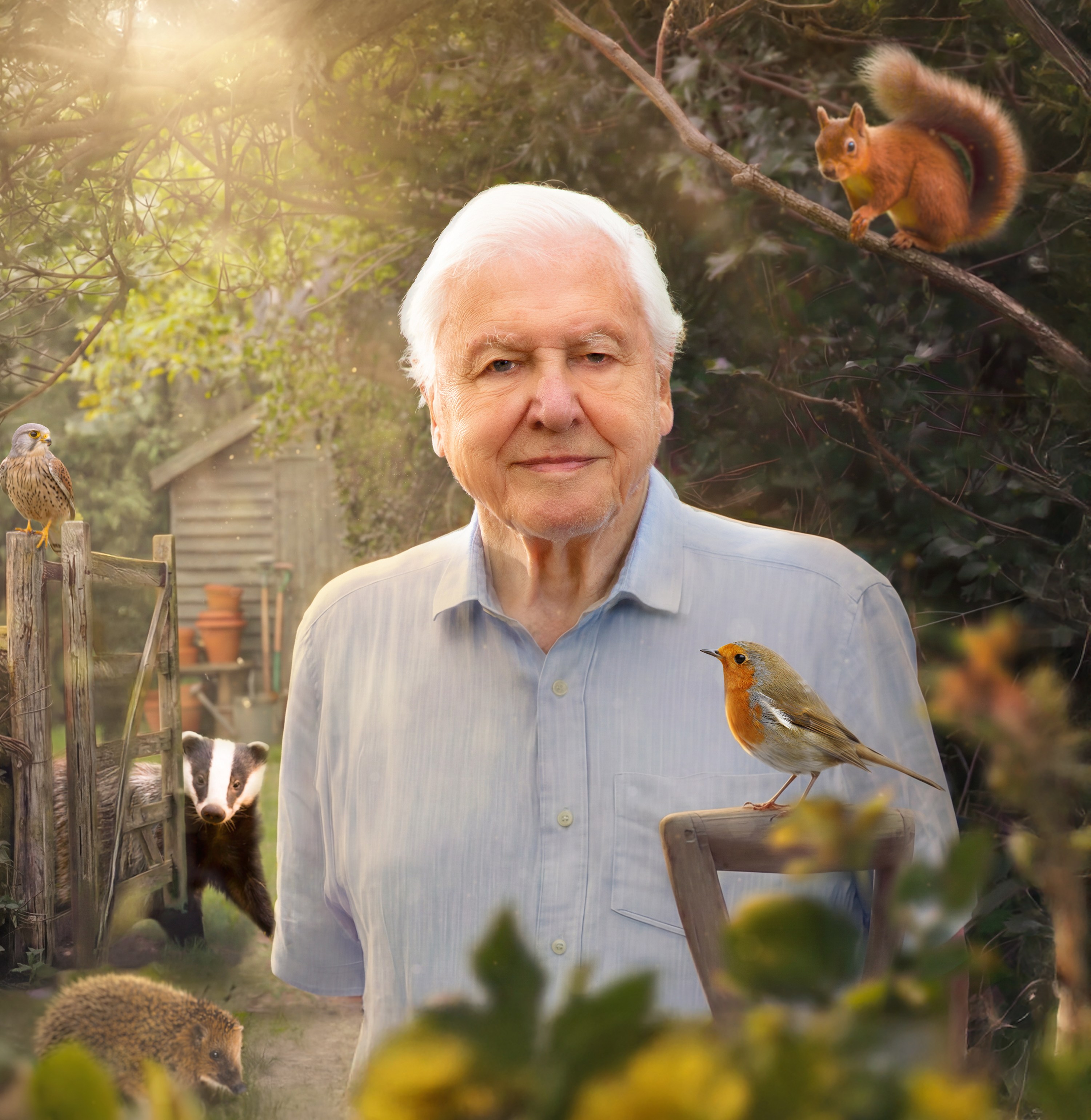 Illustration of Sir David Attenborough surrounded by a squirrel, a kestrel, a robin, a badger, and a hedgehog in a garden.