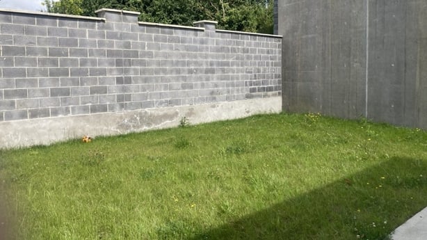 Super Garden - before photo
