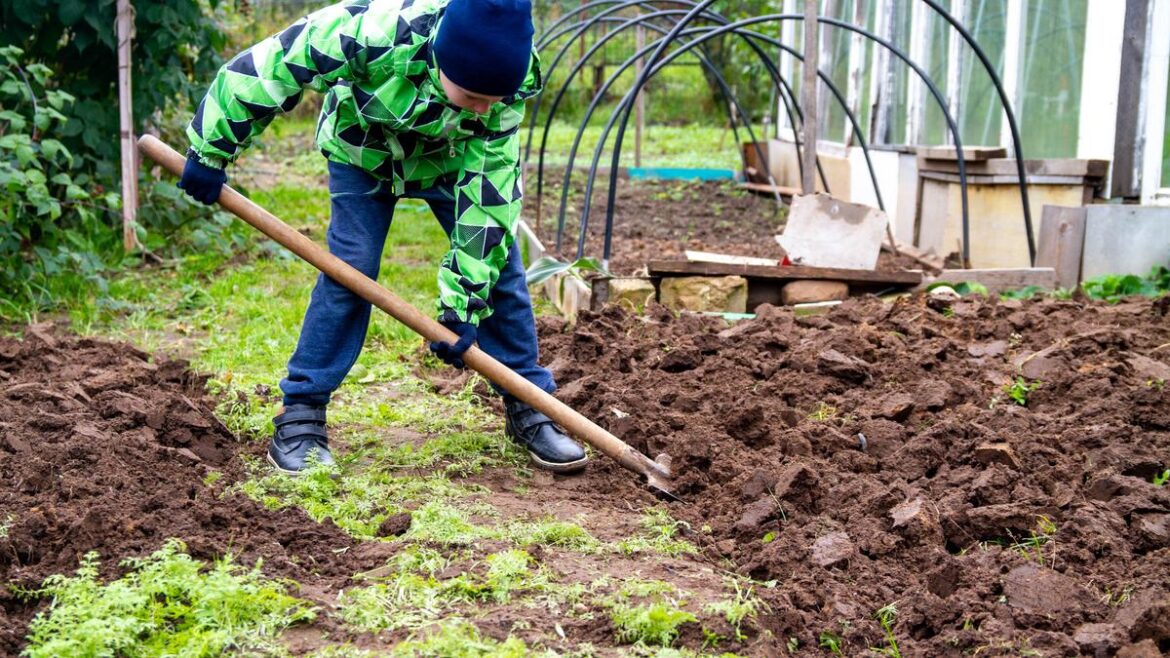 Must-haves to get your garden winter-ready 
