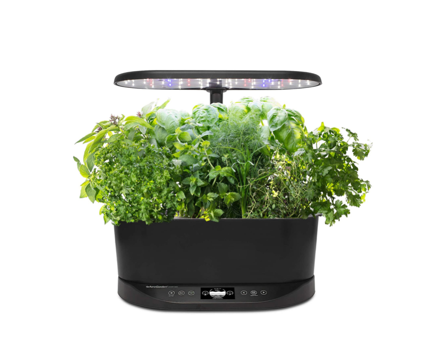 22 Gifts for Gardeners, From Someone Who Gardens
