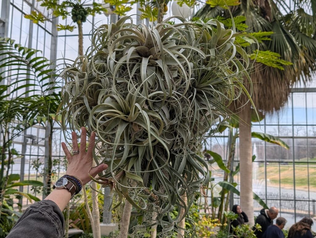 A unit