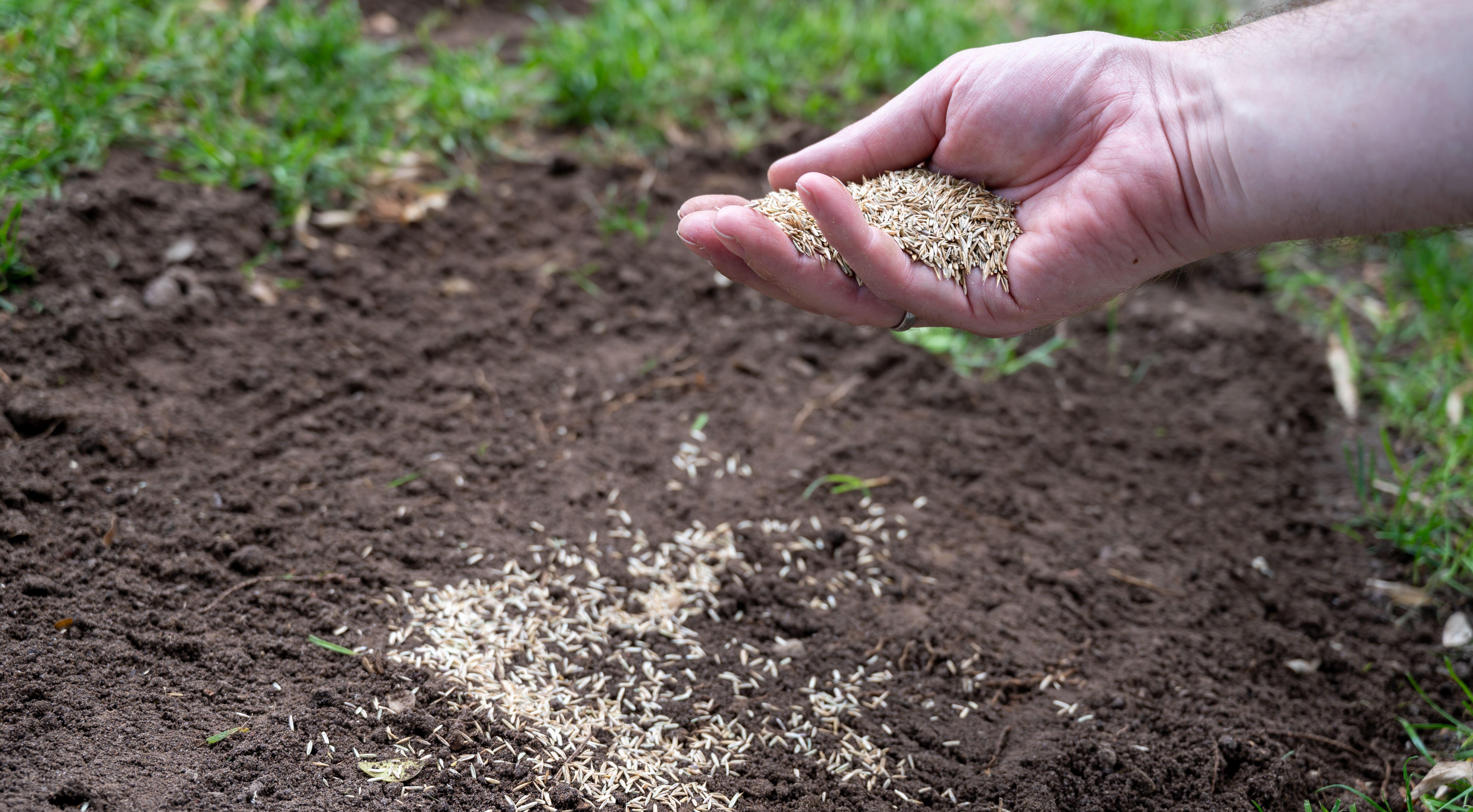(Alamy/PA)