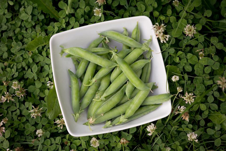 vegetables to plant in april peas