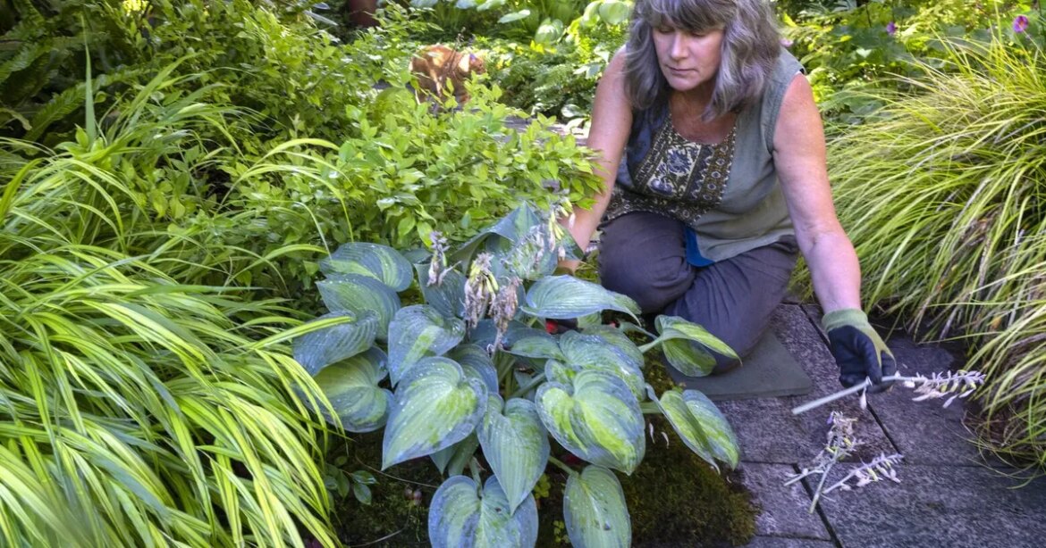 Garden therapy: Why getting your hands dirty is the best ‘medicine’ Garden therapy: Why getting your hands dirty is the best ‘medicine’