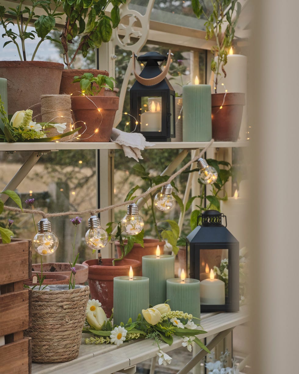 Festoon lights decorative shelf in a greenhouse featuring plants candles and lights