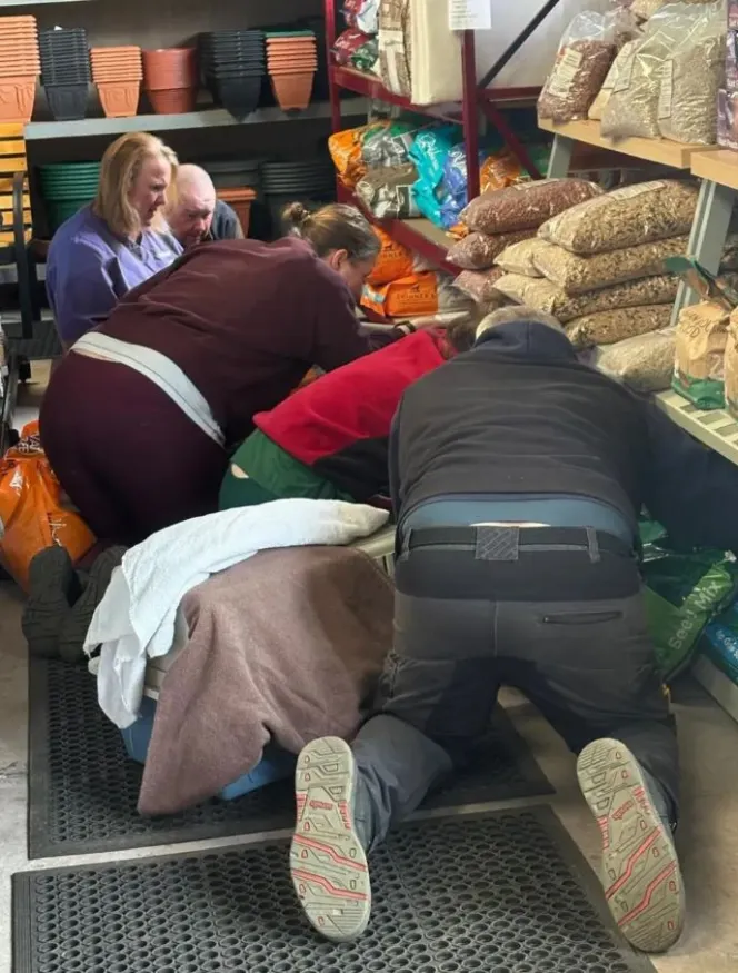 Several people on their knees in a garden center, trying to capture an otter.