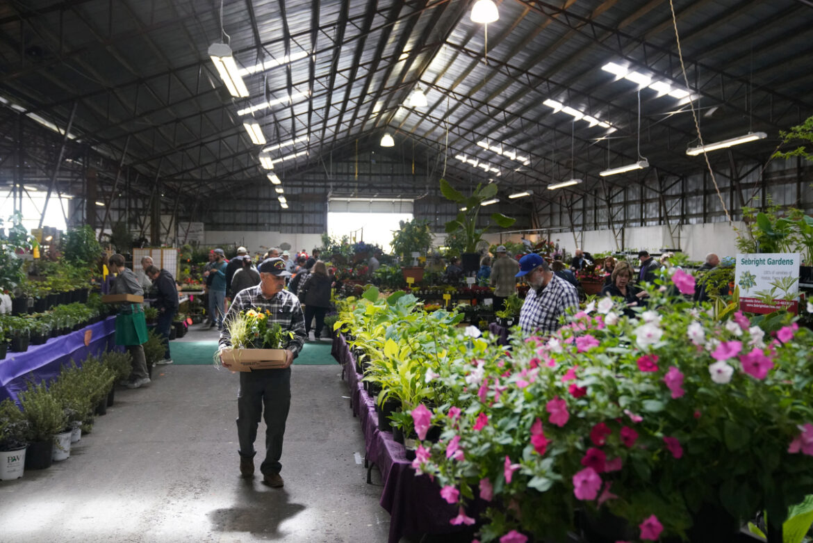 Plant sales sprout up as gardening season kicks off Plant sales sprout up as gardening season kicks off
