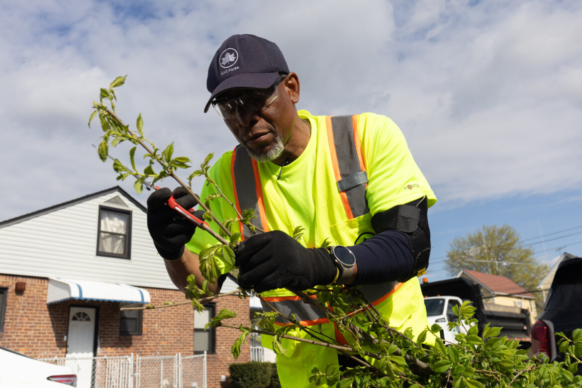 To Fight Heat, NYC Sets 2040 Tree Canopy Deadline, With Riskiest Areas First To Fight Heat, NYC Sets 2040 Tree Canopy Deadline, With Riskiest Areas First