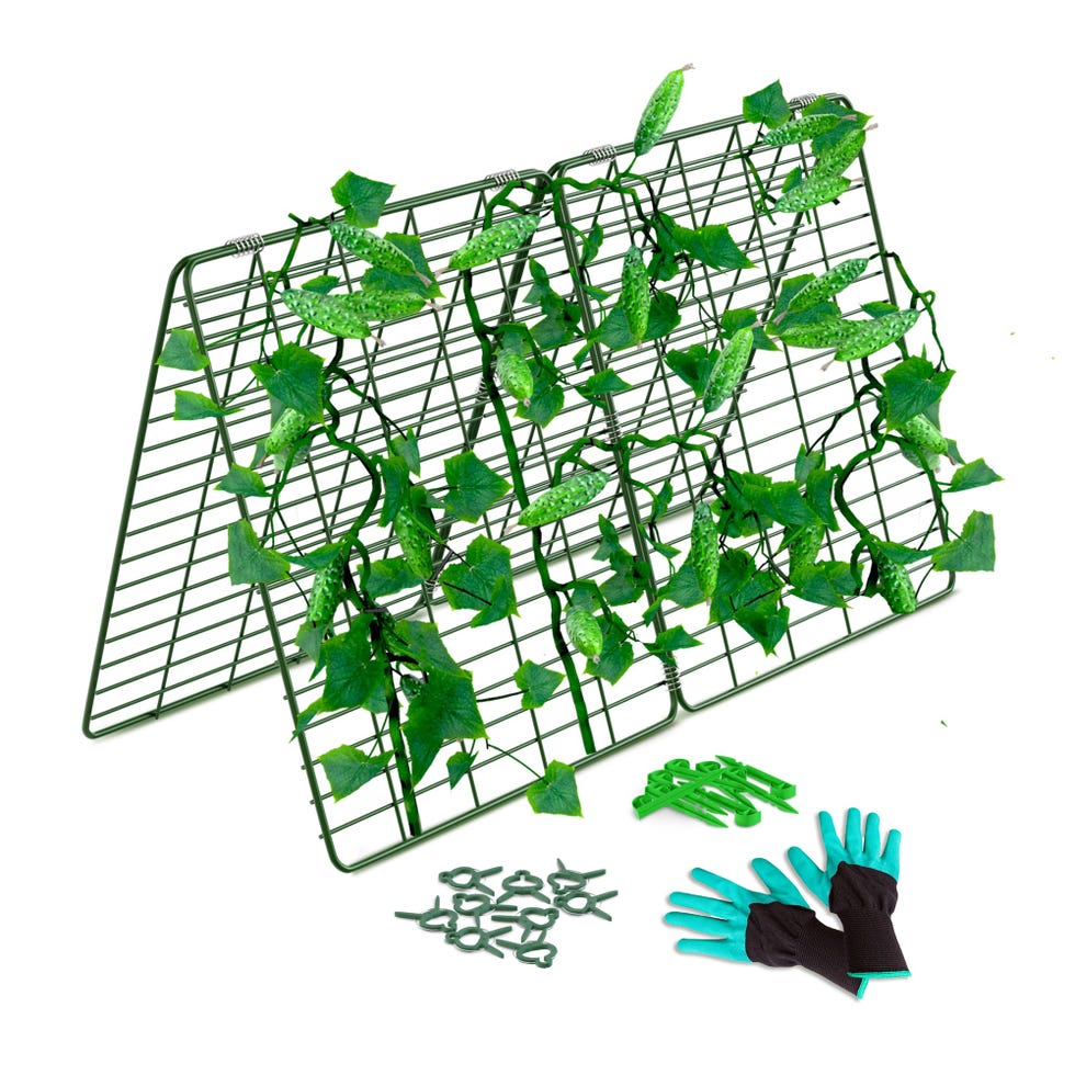 Cucumber Trellis for Raised Bed Cucumber Trellis for Raised Bed