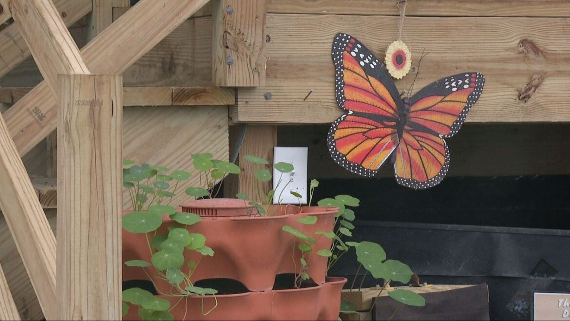 Unity Gardens hosts early Earth Day celebration Saturday station icon