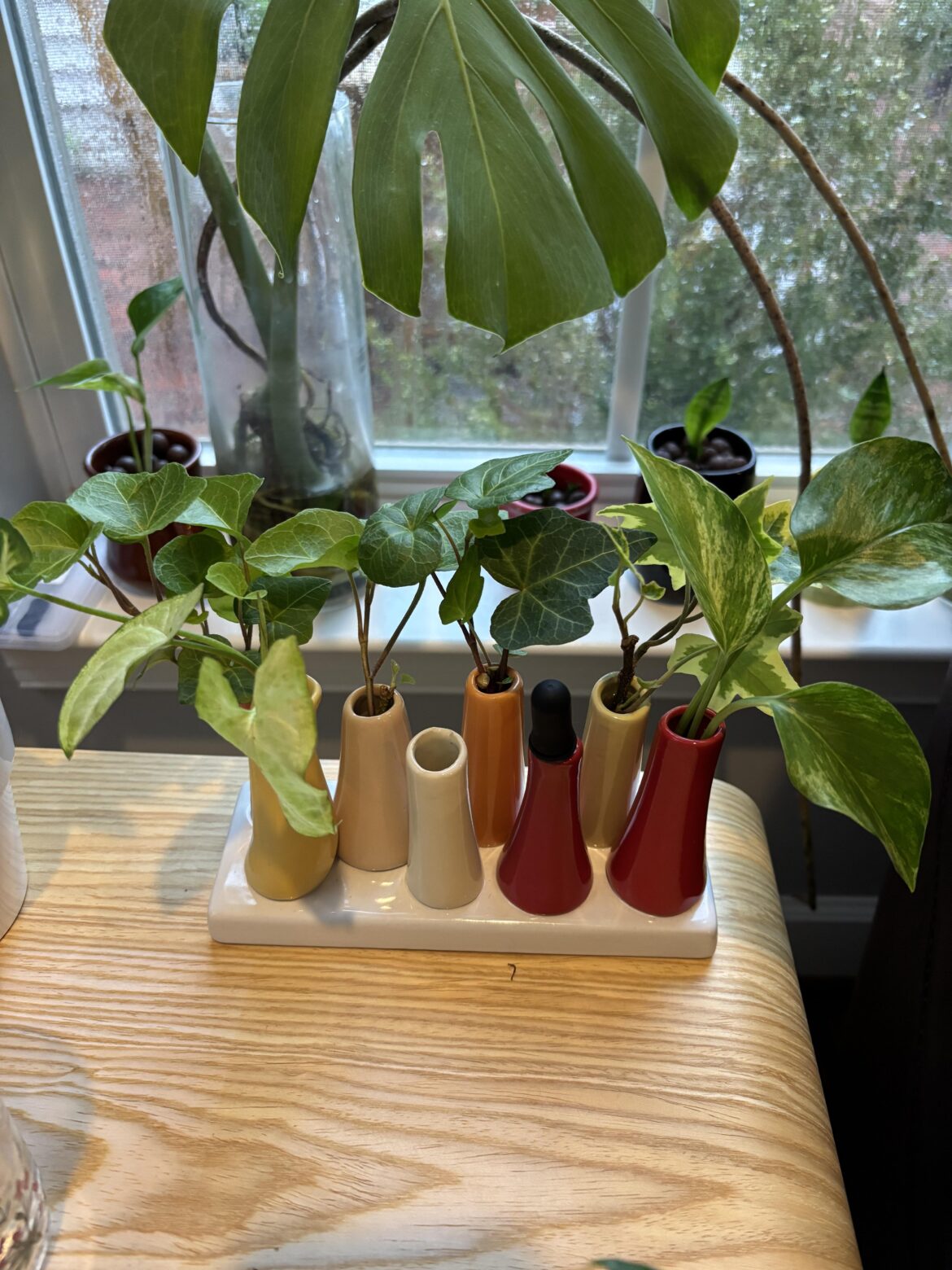 Prop holder