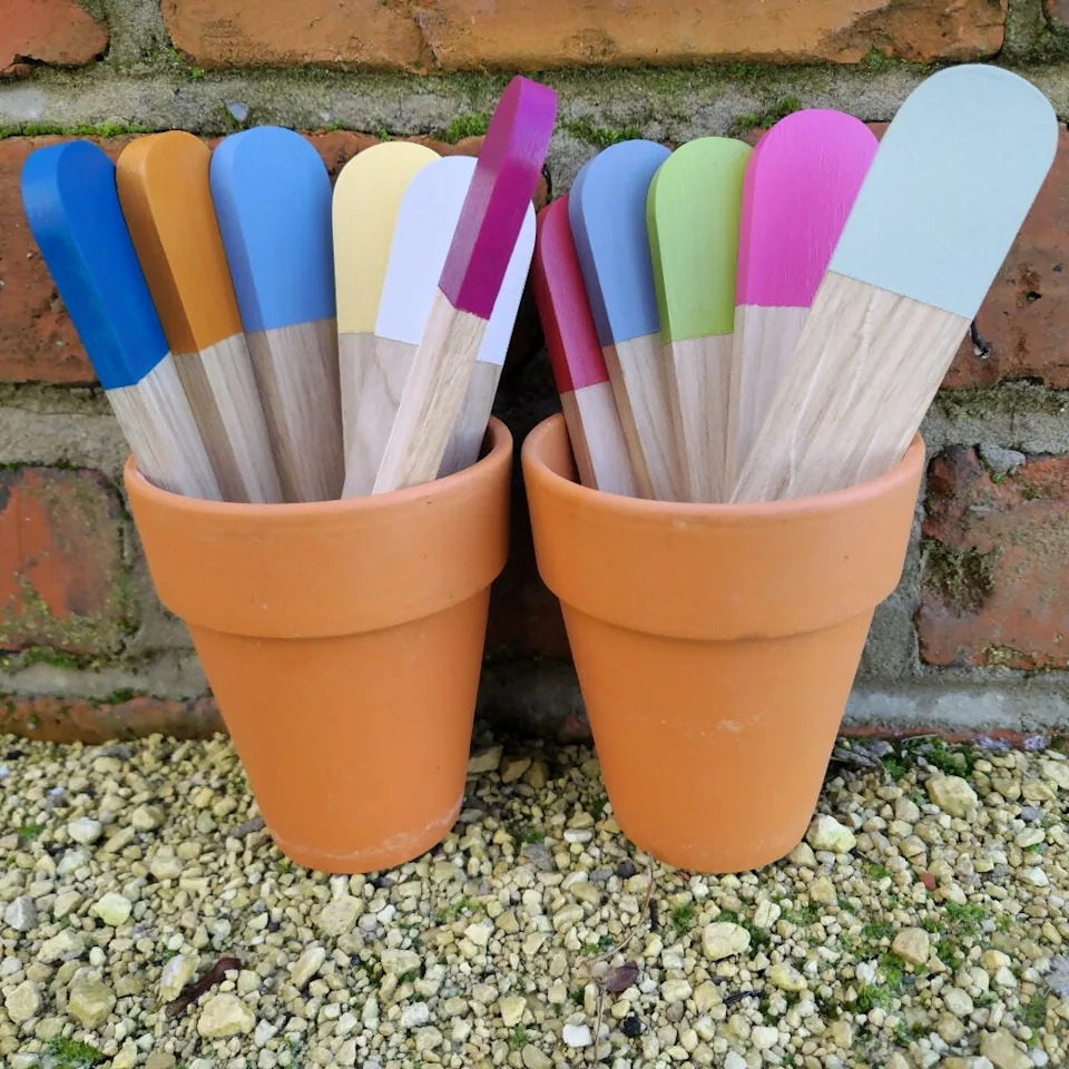 Rhubarb: The toxic warning gardeners should know