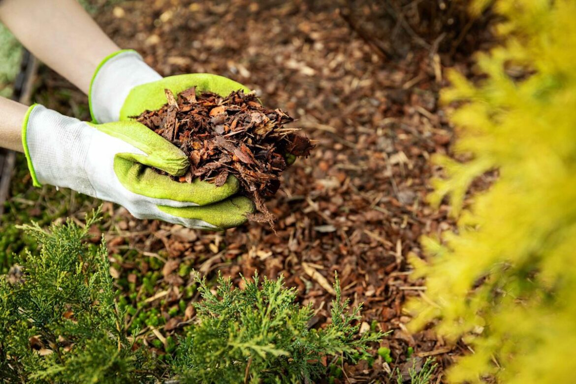 5 Clever Ways to Reuse Old Mulch, According to Gardening Experts 5 Clever Ways to Reuse Old Mulch, According to Gardening Experts