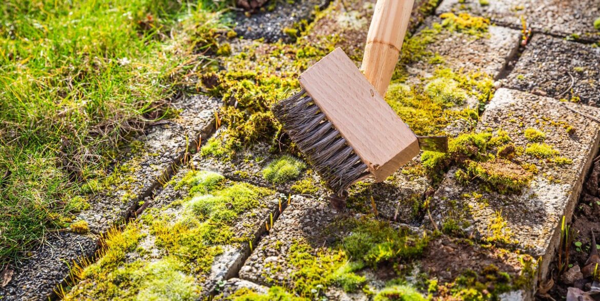 How To Clear Slippery Patio Moss In Minutes With White Vinegar How To Clear Slippery Patio Moss In Minutes With White Vinegar