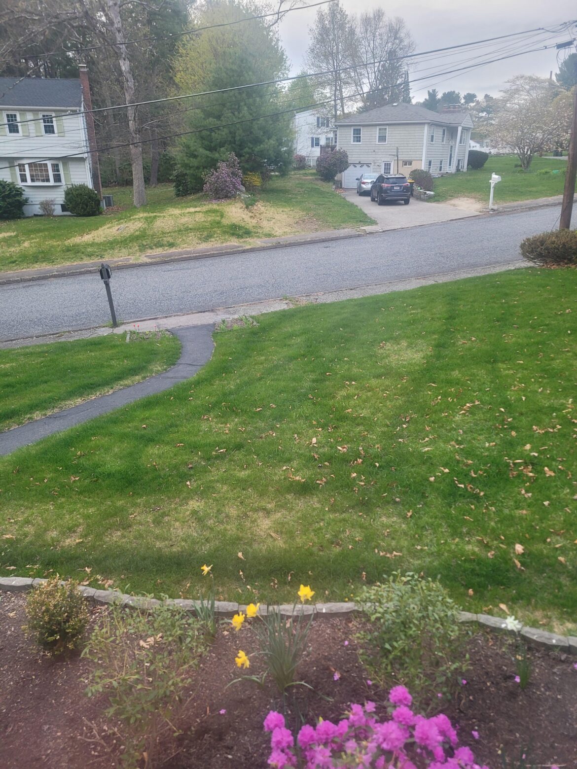 Fertilizer lines - reapply?