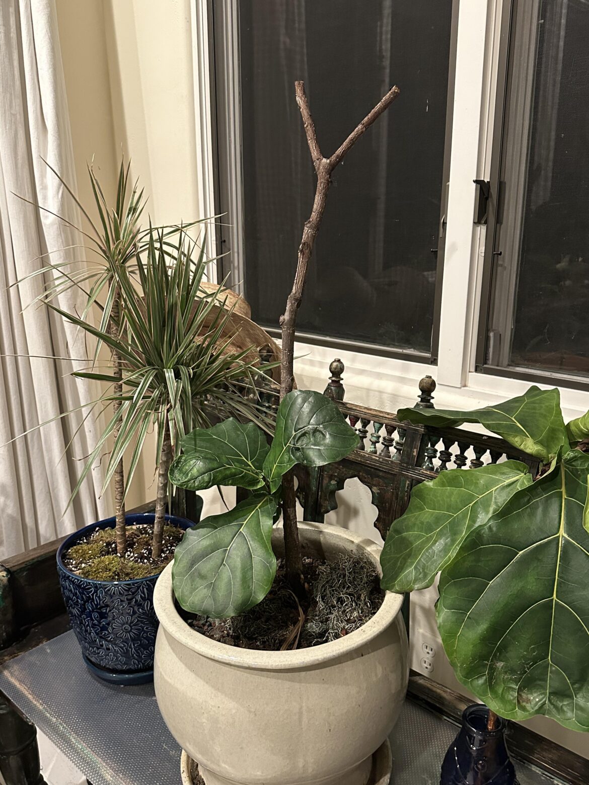 Cut FLF back more?