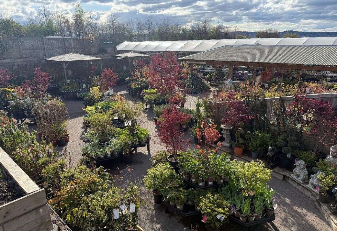 Simpsons Garden Centres ready to pass on experience and knowledge of gardening in north of Scotland as spring arrives Simpsons Garden Centres ready to pass on experience and knowledge of gardening in north of Scotland as spring arrives