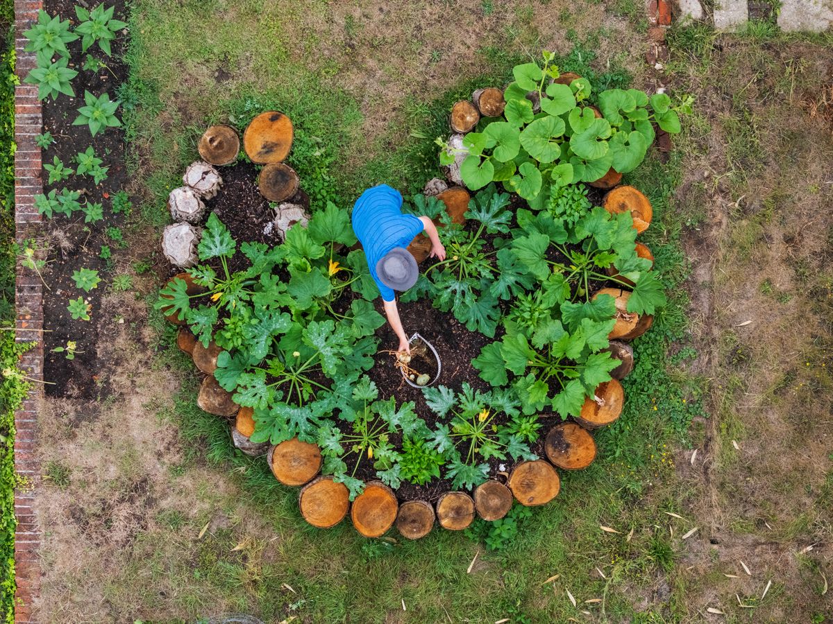 This is an undated handout photo of keyhole gardening in a round raised bed with a compost heap in the middle. See PA Feature GARDENING Hacks. WARNING: This picture must only be used to accompany PA Feature GARDENING Hacks. PA Photo. Picture credit should read: Jason Ingram/Dorling Kindersley/PA.
NOTE TO EDITORS: This picture must only be used to accompany PA Feature GARDENING Hacks.