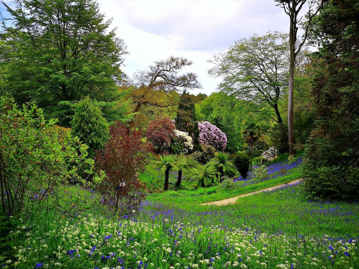 File photo: Glendurgan Gardens in Mawnan Smith near Falmouth