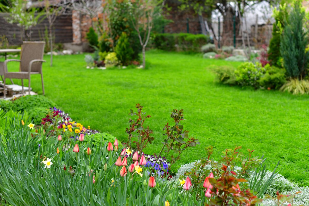 A garden with a grass lawn and flowers