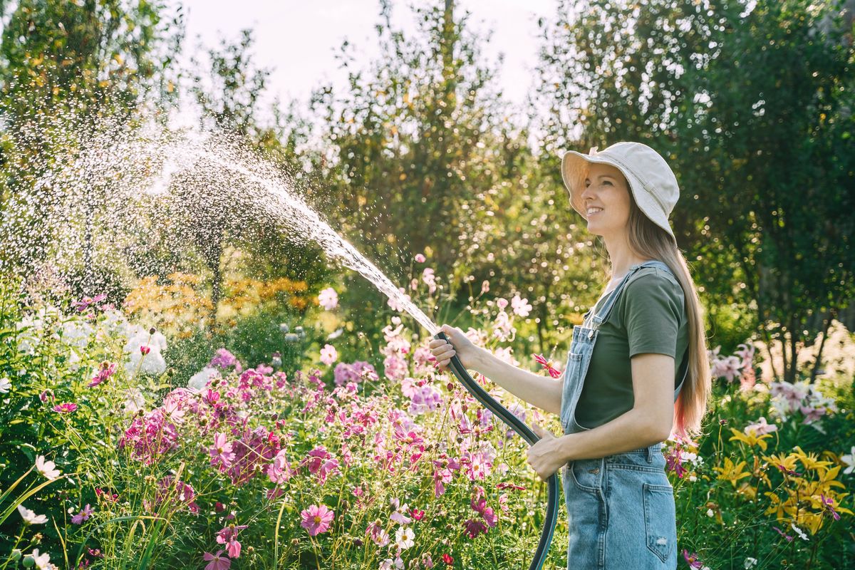 A young woman in a hat and denim overalls is watering flowers with a hose in the garden.