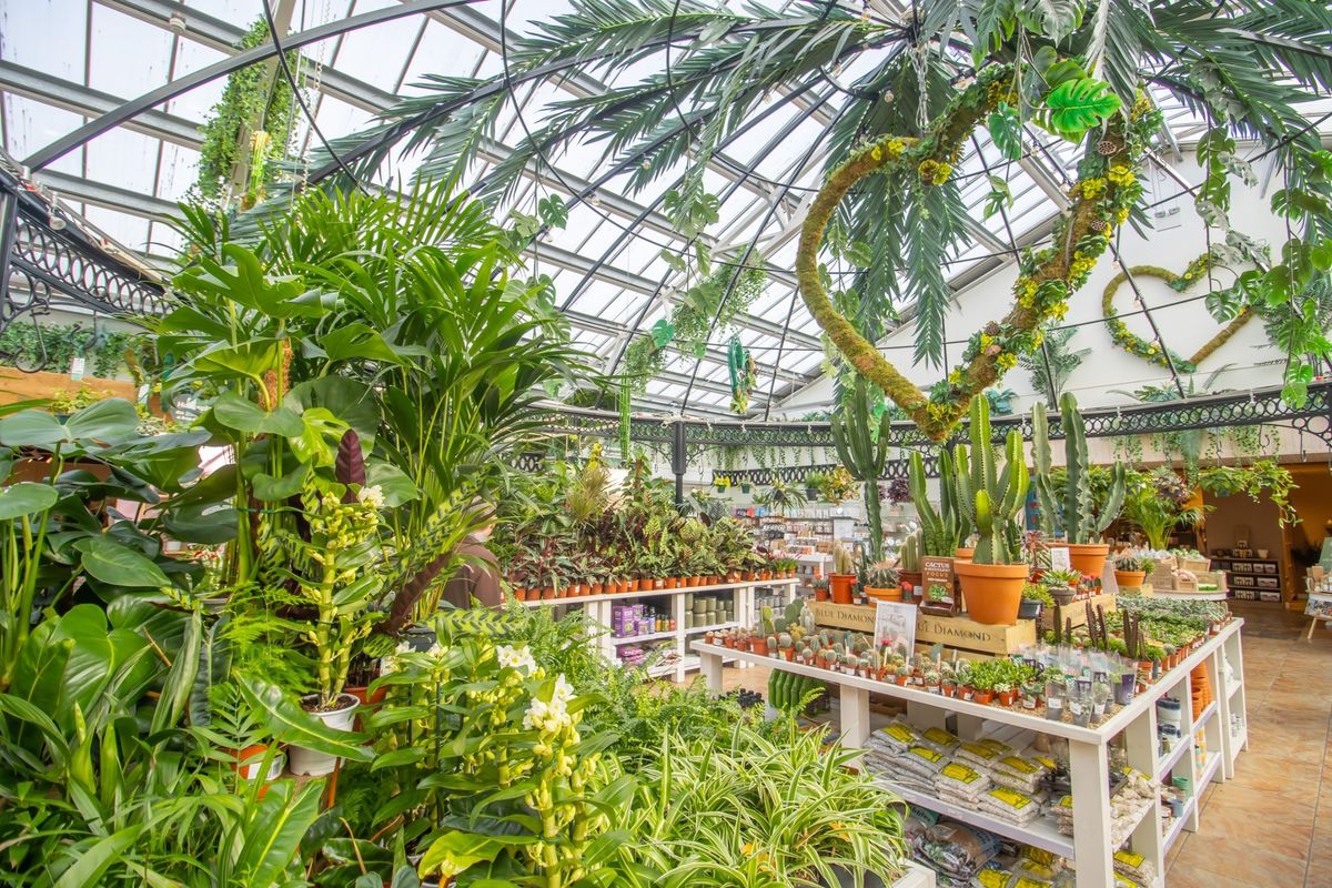 It is considered to be one of the biggest garden centres in the UK