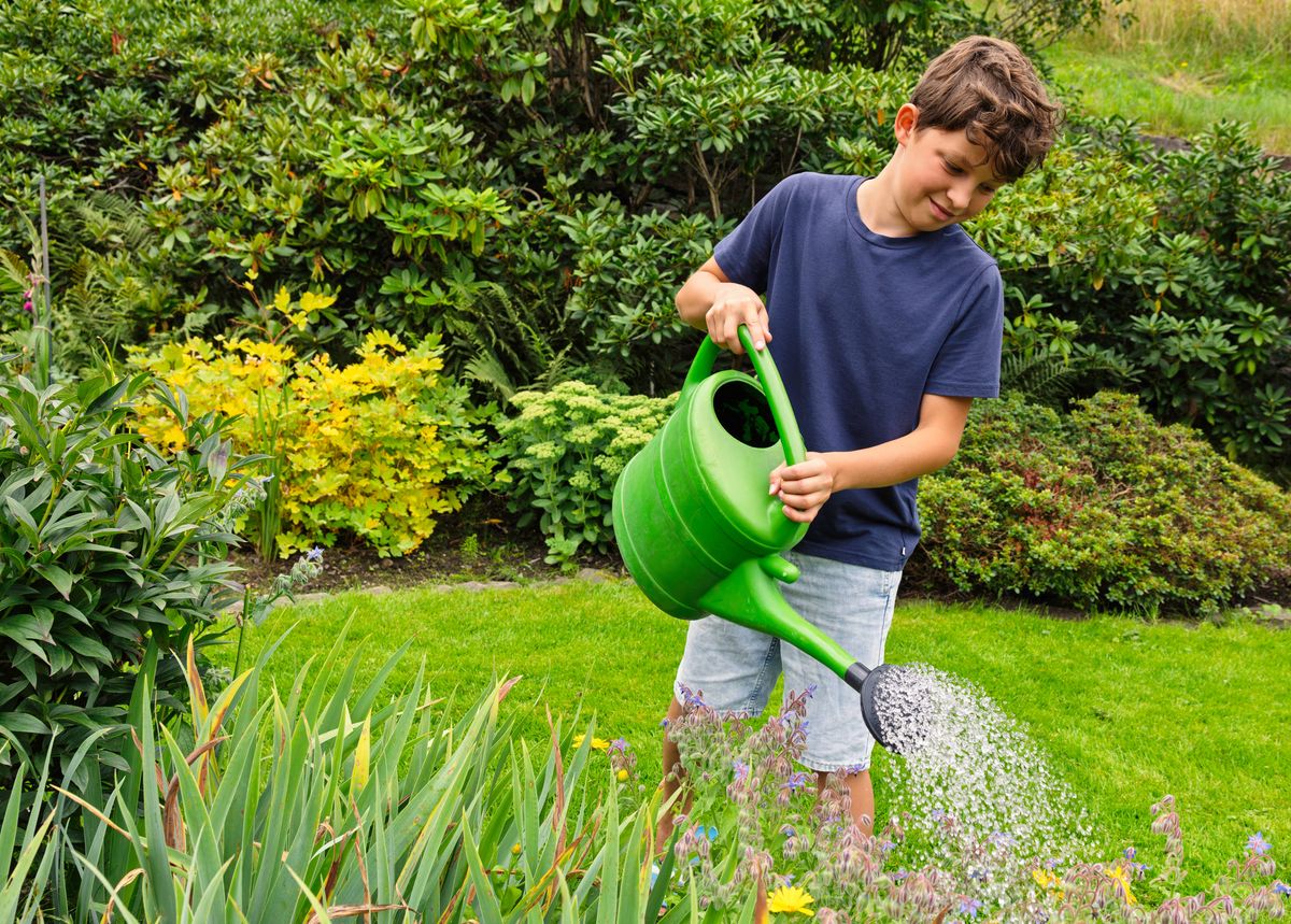 Young boy carefully watering a vibrant flower bed in a stunning garden, nurturing colorful blossoms with a green watering can, embracing the joys of nature and growth