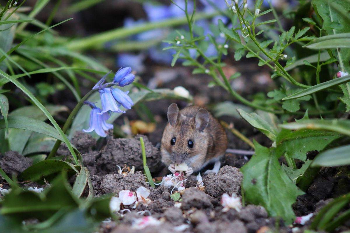 Photo taken in Esher, United Kingdom