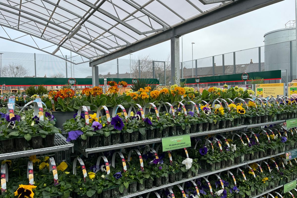 Larger Home Bargains stores, like the new one in Leigh, have their own garden centres