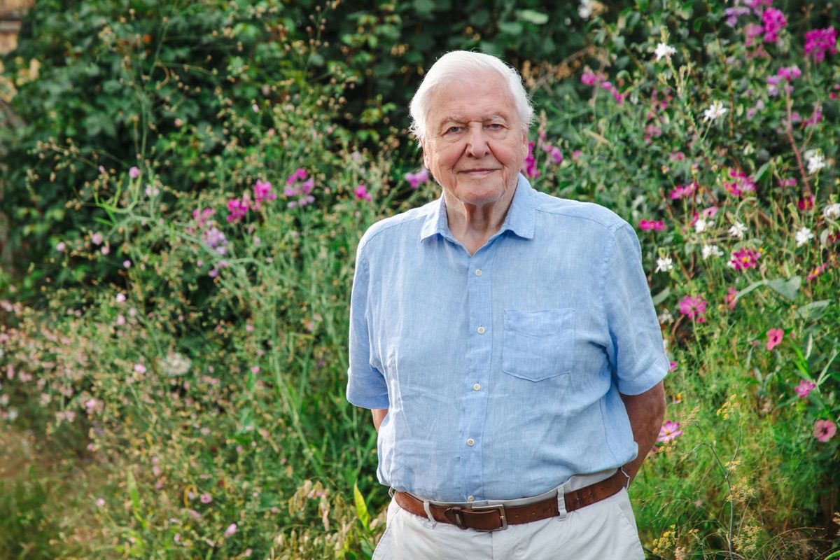 Sir David Attenborough
