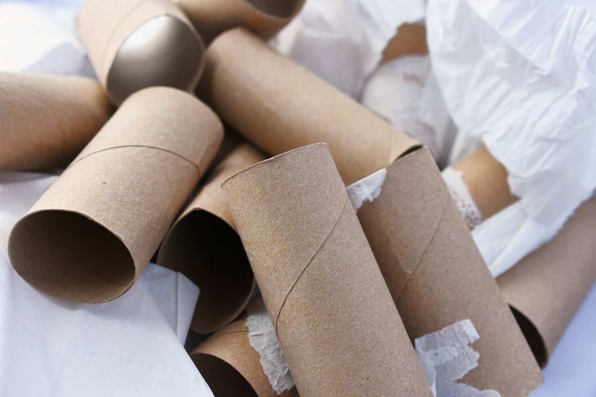 A close-up image of several empty toilet tissue rolls.