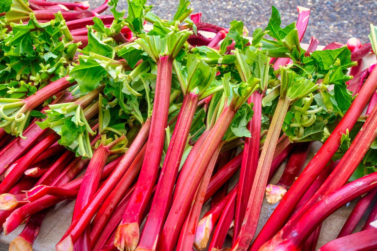 pile of rhubarb at the farm's market