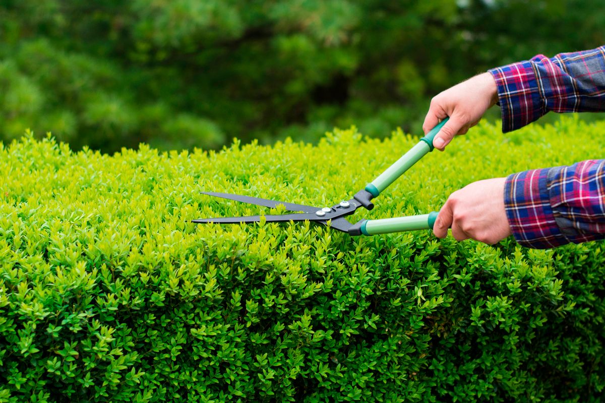 Gardens need a lot of care at this time of year