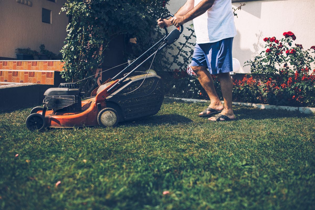 Home gardening