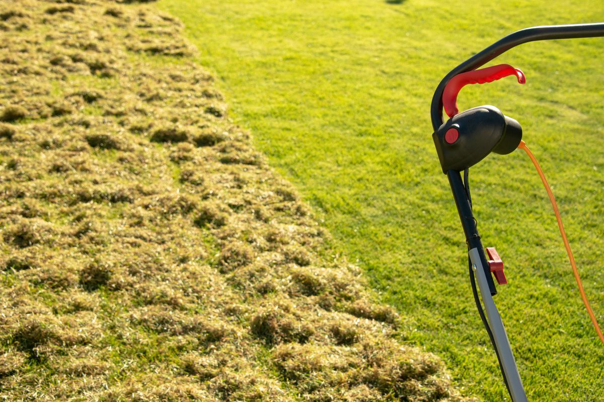 A lawn scarifier, sometimes referred to as a 'dethatcher', is a garden tool that is designed to cut through the soil, helping to remove dead moss and other debris like grass cuttings.