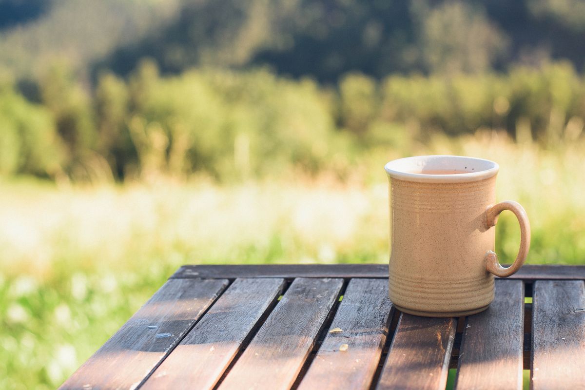 You won't need to throw away old mug and tea cups, as they can be used in your garden this month - stock photo