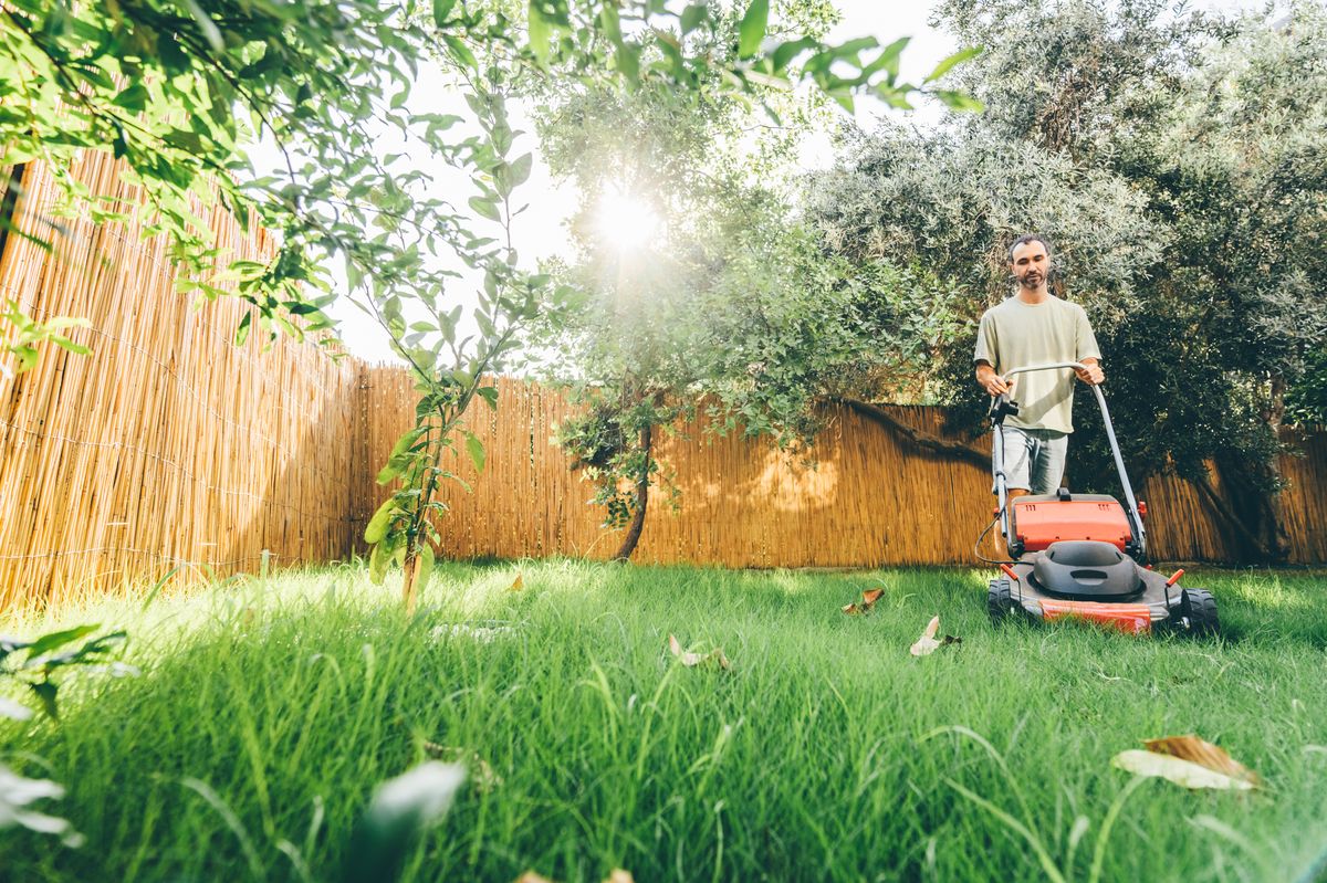 Lawn